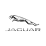 jaguar-150x150-1